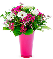 A Beauty for Every Day