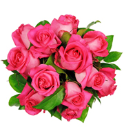 Affection - 12 Pink Roses