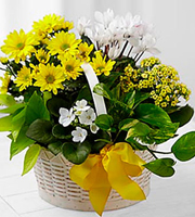 A Bit of Sunshine Basket by FTD