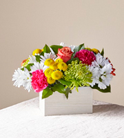 The FTD� Sorbet Bouquet