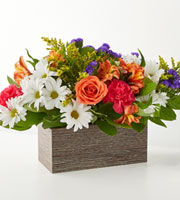 Oopsie Daisy Box Bouquet