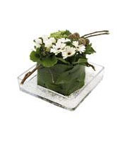 Arrangement of Cut Flowers