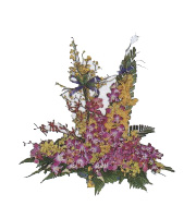 Arrangement of Orchids