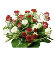 Celebration Arrangement