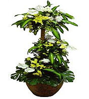 Royal Plant with Flowers