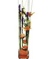 Arrangement of Cut Flowers