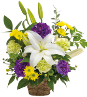 Obon (Buddhist Memorial Service) Sympathy Arrangement