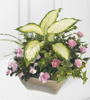 The FTD� Garden of Grace� Planter