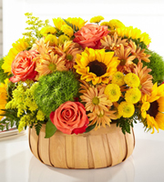 The FTD� Harvest Sunflower� Basket 