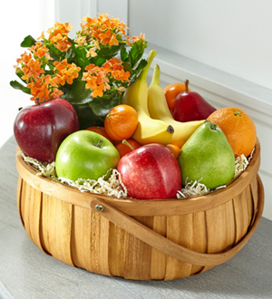 The FTD� Plant and Fruit Basket