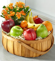 The FTD� Plant and Fruit Basket