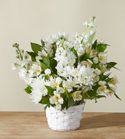 Eternal Affection Arrangement