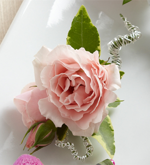 The FTD� Pink Spray Rose Boutonniere